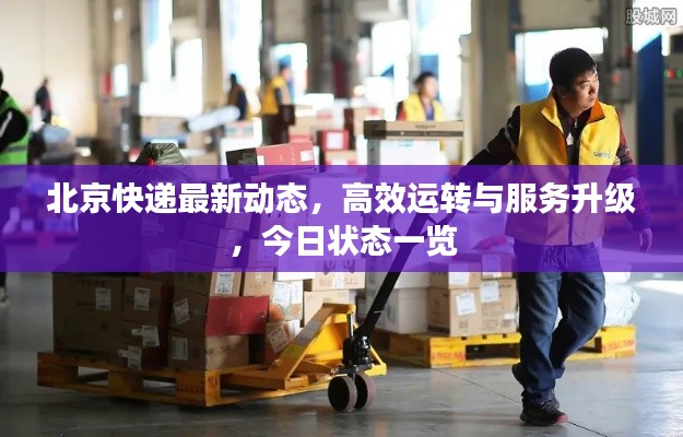 北京快递最新动态,高效运转与服务升级,今日状态一览