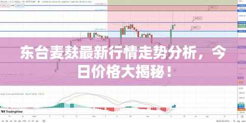 月里嫦娥 第4页