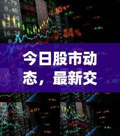 今日股市动态,最新交易消息全面解析