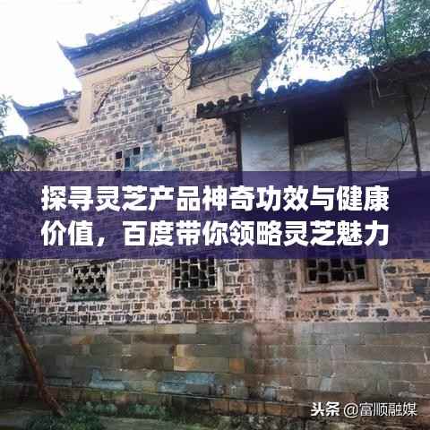 探寻灵芝产品神奇功效与健康价值,百度带你领略灵芝魅力!