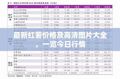 翰飞戾天 第3页