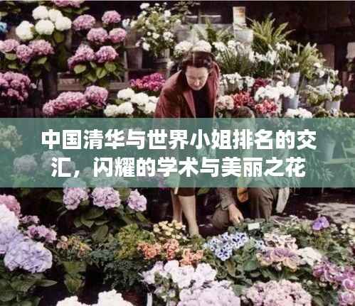 中国清华与世界小姐排名的交汇,闪耀的学术与美丽之花