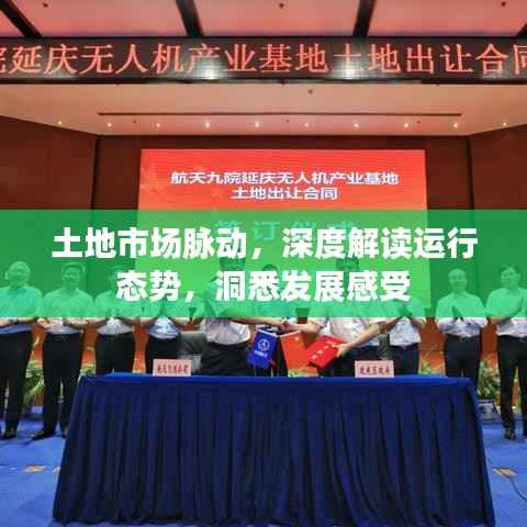 土地市场脉动,深度解读运行态势,洞悉发展感受