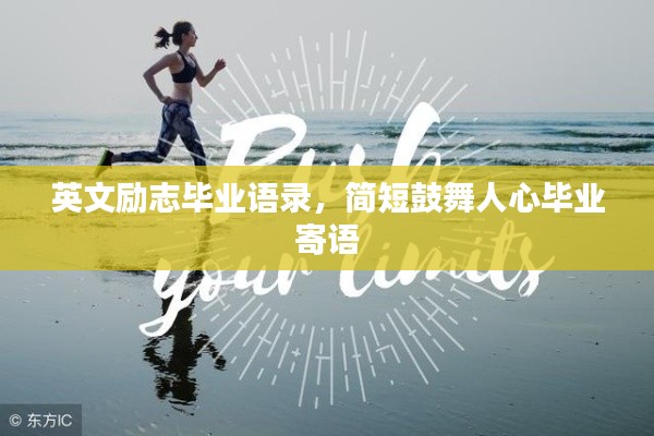 纲举目张 第3页