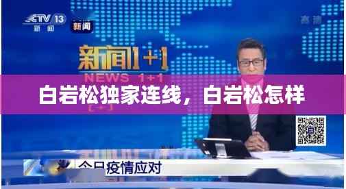 避繁就简 第3页