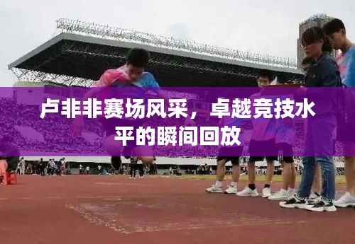 鸟入樊笼 第3页