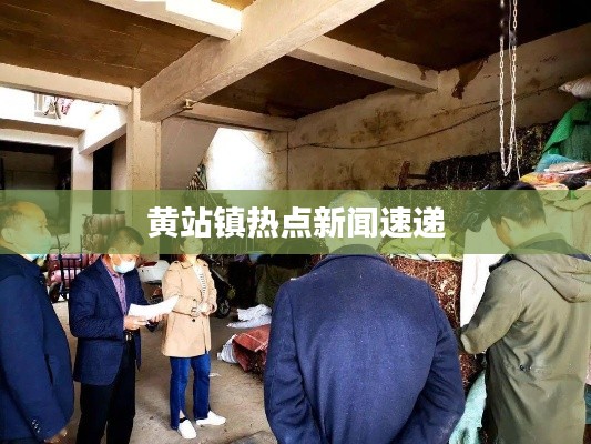 衣无二彩 第3页