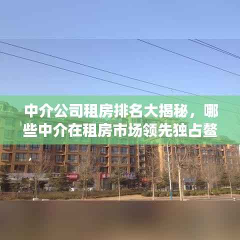 毛手毛脚 第3页