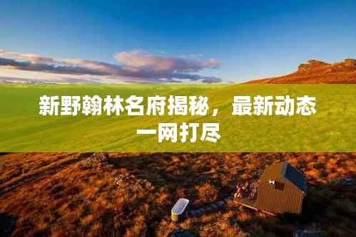 新野翰林名府揭秘，最新动态一网打尽