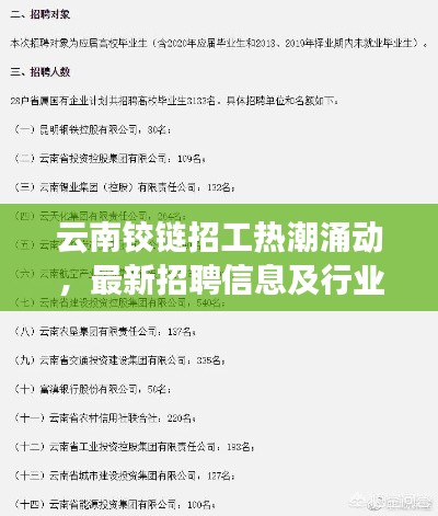云南铰链招工热潮涌动,最新招聘信息及行业解读