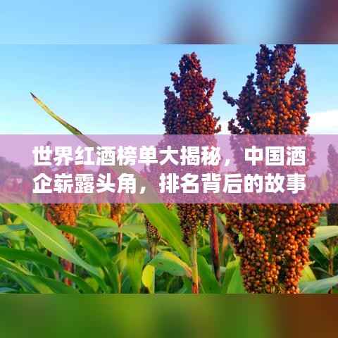 铺张扬厉 第2页